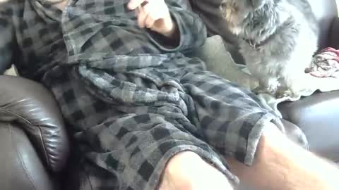 Snapshot of 66bear chatting on December 25, 2024, 4:43 pm 66bear online show from December 25, 2024, 4:43 pm