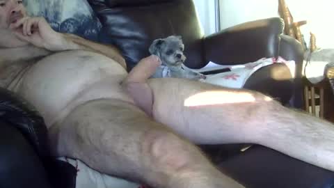 Snapshot of 66bear chatting on October 5, 2025, 11:41 am 66bear online show from October 5, 2025, 11:41 am