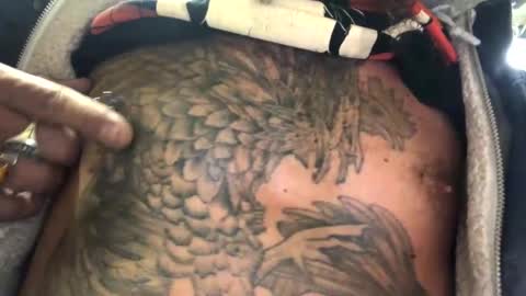 6990fiko online show from March 2, 2025, 10:56 am