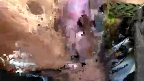 6990fiko online show from September 29, 2025, 9:47 am