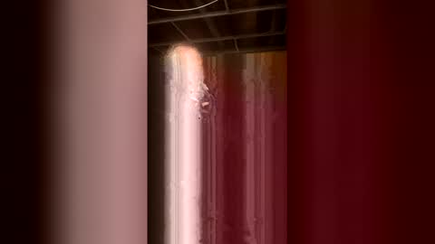 Snapshot of 69bidam chatting on May 2, 2026, 10:31 am 69bidam online show from May 2, 2026, 10:31 am