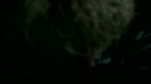 69sextoyboy69 online show from December 23, 2025, 5:38 am