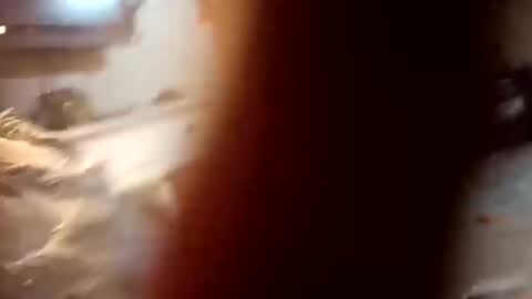 7lairddip online show from October 6, 2025, 3:59 am