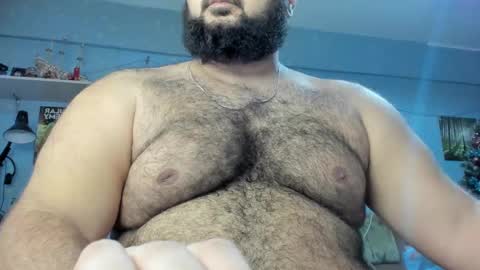 Snapshot of _alan_bear_ chatting on January 17, 2025, 11:17 am Alan online show from January 17, 2025, 11:17 am