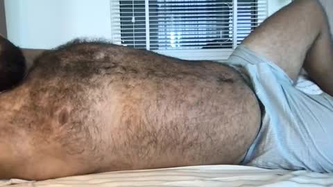 Snapshot of _alan_bear_ chatting on February 13, 2026, 3:46 am Alan online show from February 13, 2026, 3:46 am