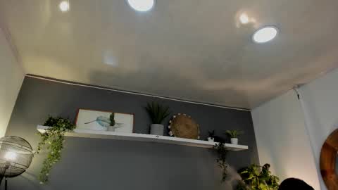 Snapshot of _aliice_1 chatting on February 20, 2025, 8:03 pm  Alice  online show from February 20, 2025, 8:03 pm