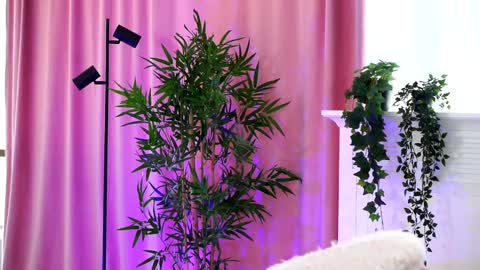 Snapshot of _arielle chatting on December 19, 2024, 1:07 pm Arielle online show from December 19, 2024, 1:07 pm