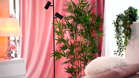 Snapshot of _arielle chatting on February 7, 2025, 9:37 am Arielle online show from February 7, 2025, 9:37 am