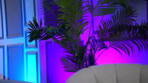 Arielle online show from February 16, 2026, 7:59 am