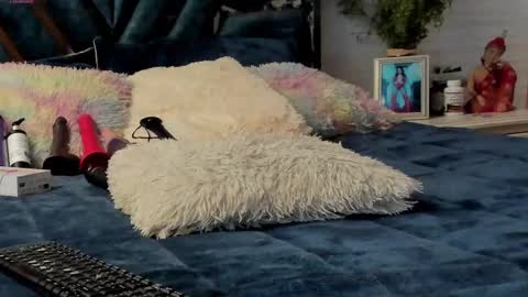 Brenda online show from March 8, 2025, 12:20 pm