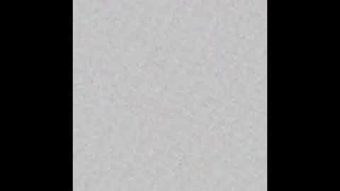 Brenda online show from September 15, 2025, 12:16 pm