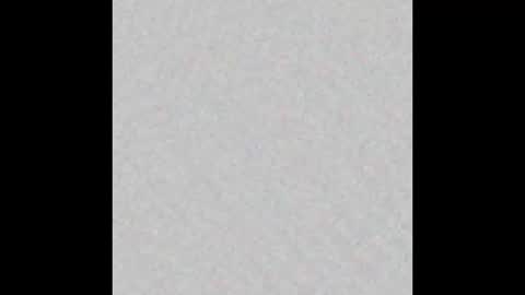 Brenda online show from October 27, 2025, 11:47 am