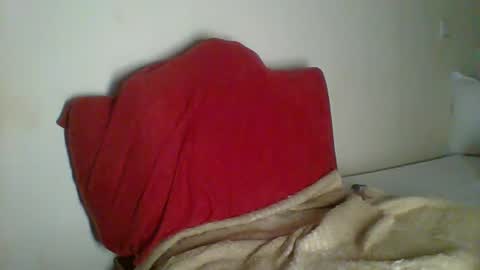 Snapshot of _clara01 chatting on January 30, 2025, 11:02 pm clara online show from January 30, 2025, 11:02 pm