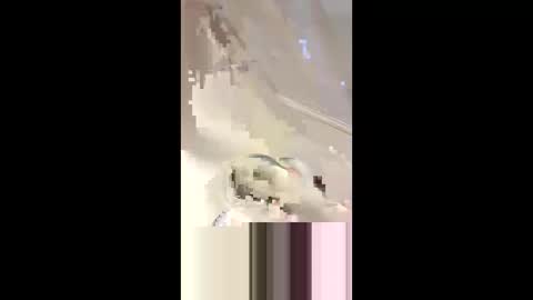 Da d1ck online show from March 2, 2025, 6:08 pm