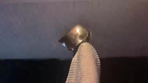 GOODKNIGHT online show from February 3, 2025, 5:07 am