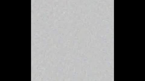  Kendall online show from November 13, 2025, 7:29 am