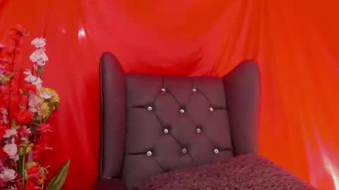 Snapshot of _little_ivy chatting on February 14, 2025, 5:46 pm Ivy 3 online show from February 14, 2025, 5:46 pm