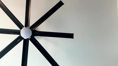 Snapshot of _littlewolfie_ chatting on January 11, 2025, 10:07 pm Little Wolfie online show from January 11, 2025, 10:07 pm