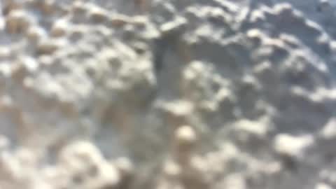 Snapshot of _littlewolfie_ chatting on February 3, 2025, 4:10 pm Little Wolfie online show from February 3, 2025, 4:10 pm