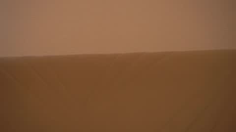 Alice online show from February 10, 2025, 10:20 am