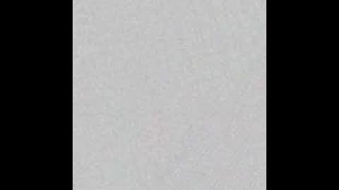 _maccaa_ online show from November 6, 2025, 12:06 pm