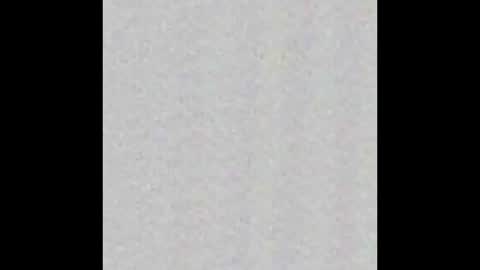 _maccaa_ online show from November 12, 2025, 12:05 pm