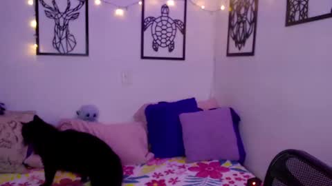 Marce  online show from January 18, 2025, 12:57 am