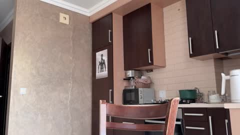 Snapshot of _morpho_ chatting on November 20, 2025, 11:21 am Francine Aisi Morpho - a genus of blue butterflies. online show from November 20, 2025, 11:21 am