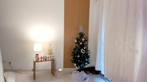 Sam   --- next stream 1 dic  food and vino show . online show from December 28, 2024, 9:08 pm