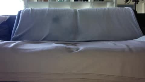 a_nice_dick_77 online show from April 16, 2026, 7:31 am