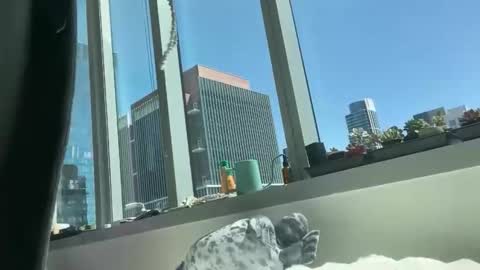 Snapshot of aaron494949 chatting on April 5, 2026, 7:55 pm aaron494949 online show from April 5, 2026, 7:55 pm