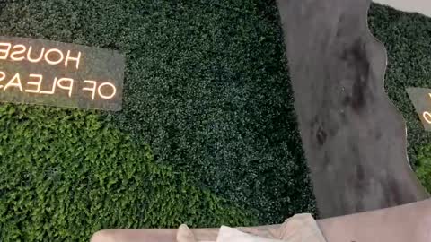 A B B Y online show from February 15, 2025, 2:44 pm