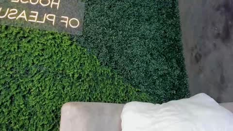 A B B Y online show from February 19, 2025, 6:21 pm