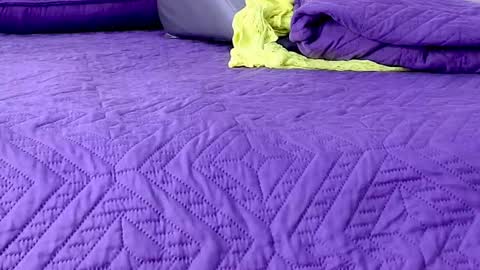 Abigail online show from January 8, 2026, 2:58 am