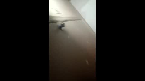 Snapshot of afnuke000 chatting on March 4, 2026, 9:15 am afnuke000 online show from March 4, 2026, 9:15 am