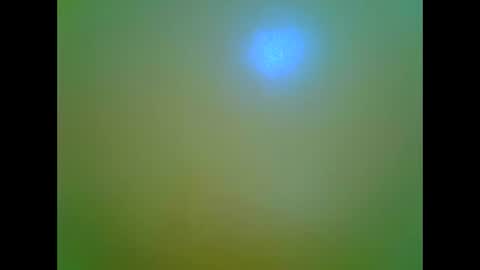 Snapshot of afrikana005 chatting on April 5, 2026, 3:42 pm afrikana005 online show from April 5, 2026, 3:42 pm