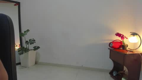 Snapshot of afrodita3123 chatting on November 7, 2025, 3:34 pm Lorena online show from November 7, 2025, 3:34 pm