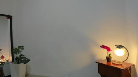 Snapshot of afrodita3123 chatting on December 3, 2025, 1:20 pm Lorena online show from December 3, 2025, 1:20 pm