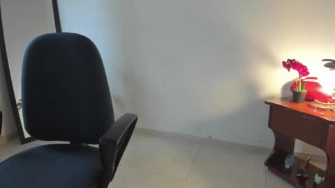 Snapshot of afrodita3123 chatting on December 17, 2025, 1:17 pm Lorena online show from December 17, 2025, 1:17 pm