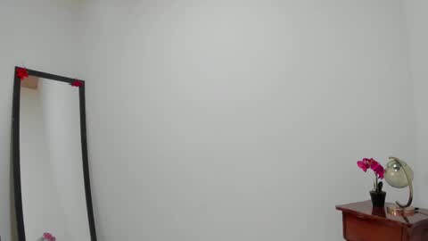 Snapshot of afrodita3123 chatting on February 23, 2026, 2:47 pm Lorena online show from February 23, 2026, 2:47 pm