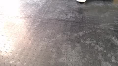 Snapshot of agata_darkness chatting on December 16, 2025, 6:57 pm Miss Agata online show from December 16, 2025, 6:57 pm