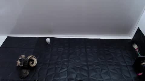 Snapshot of agata_darkness chatting on January 7, 2026, 7:38 pm Miss Agata online show from January 7, 2026, 7:38 pm