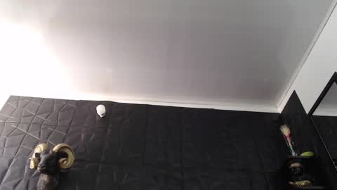 Snapshot of agata_darkness chatting on February 5, 2026, 5:28 pm Miss Agata online show from February 5, 2026, 5:28 pm