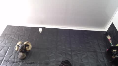 Snapshot of agata_darkness chatting on February 13, 2026, 5:20 pm Miss Agata online show from February 13, 2026, 5:20 pm