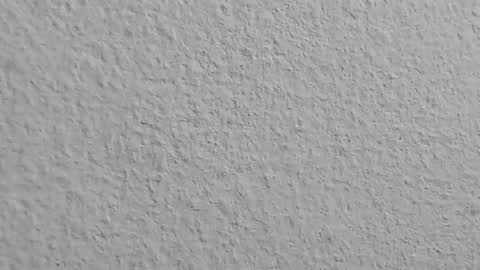 agnes_jones online show from November 4, 2025, 7:57 pm