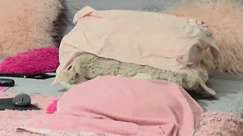 Snapshot of aitanna_love chatting on March 10, 2026, 6:29 am Aitanna Love online show from March 10, 2026, 6:29 am