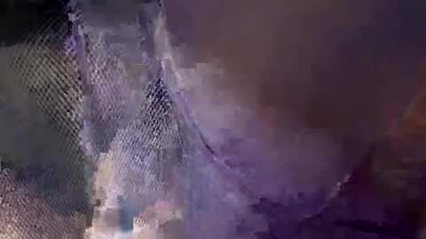 Snapshot of aj297914 chatting on October 18, 2025, 5:54 am aj297914 online show from October 18, 2025, 5:54 am