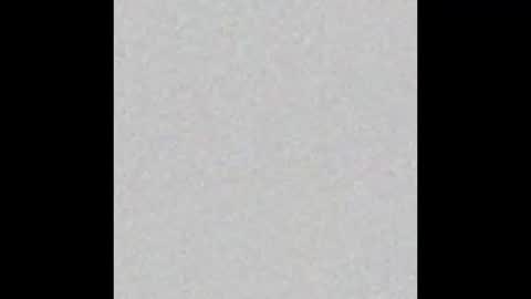 akiwi2 online show from January 7, 2025, 7:52 am