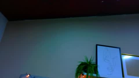  Alaia  online show from January 7, 2026, 11:34 am