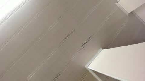 Maeve  online show from January 7, 2025, 10:54 am